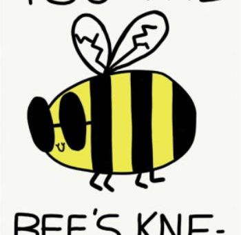 NSV: The Bee's Knees