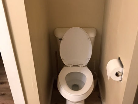 Toilet Troubles