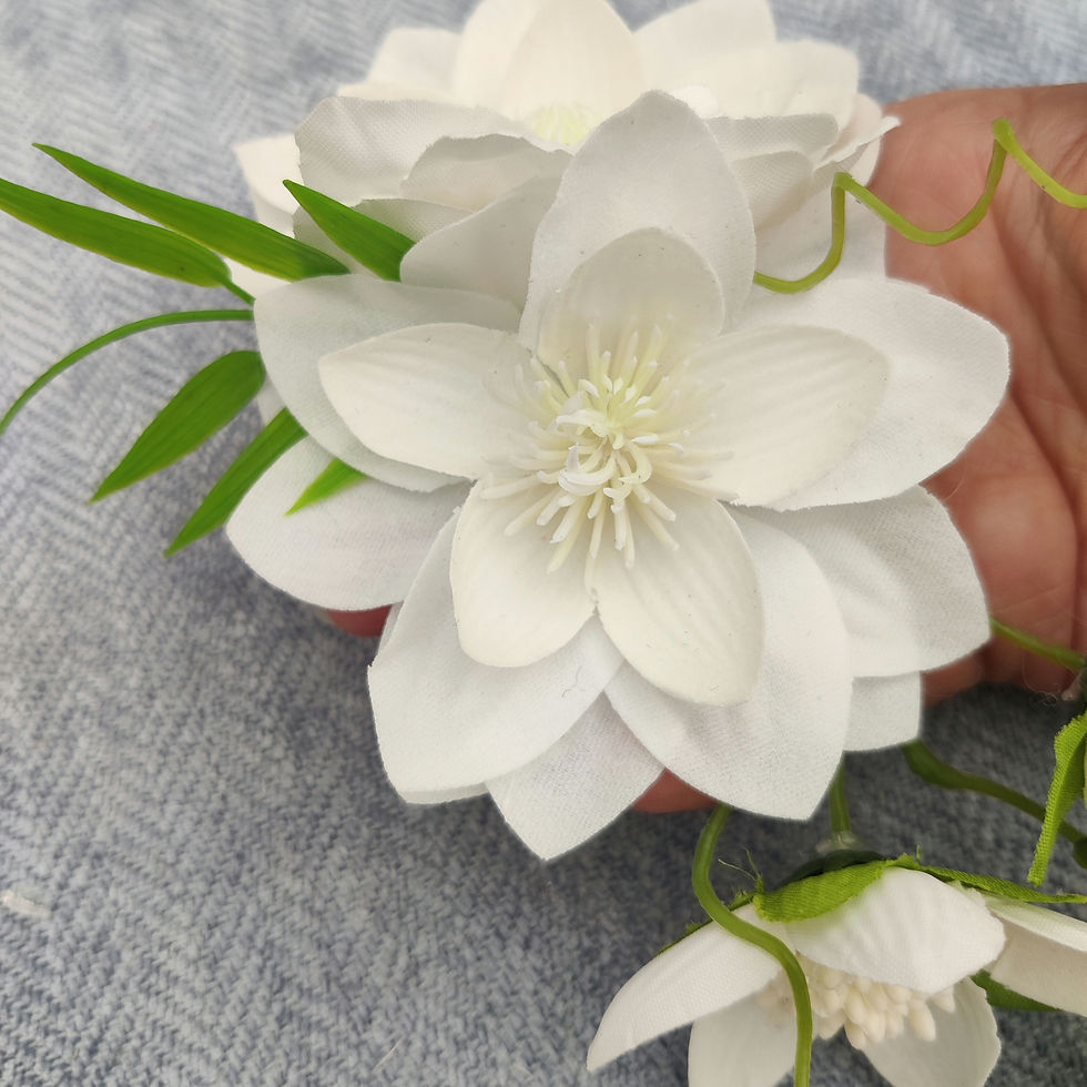 Thumbnail: Lotus hairflower