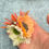 Thumbnail: Grey and apricot mini hairflower 