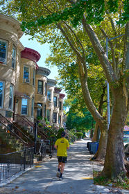 Man jogging down tree-lined street.