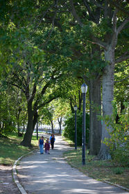 Family walking in Shore Road Park.