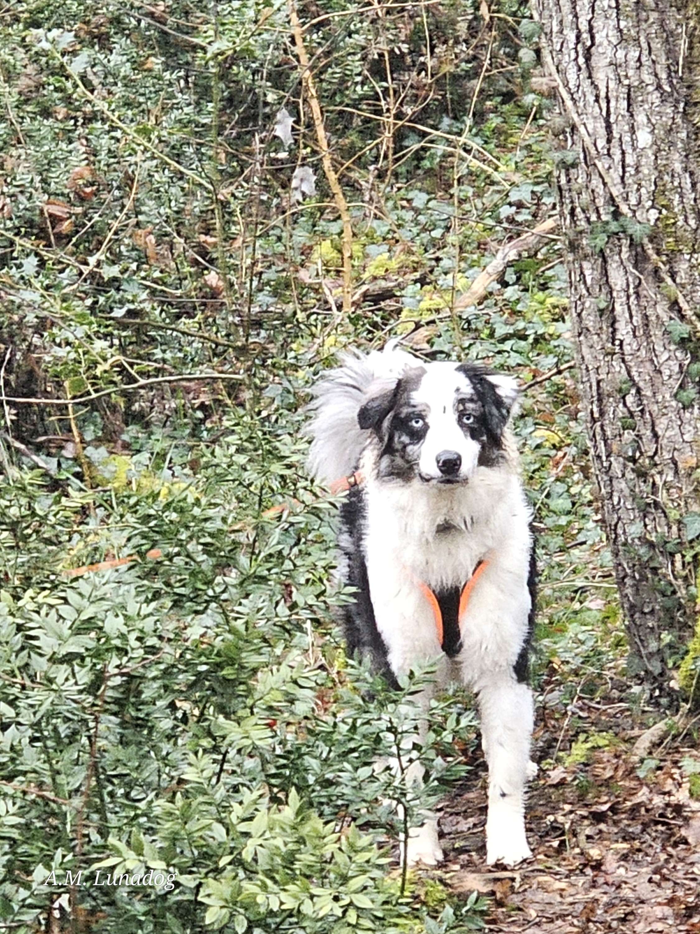 Retour sur la balade collective