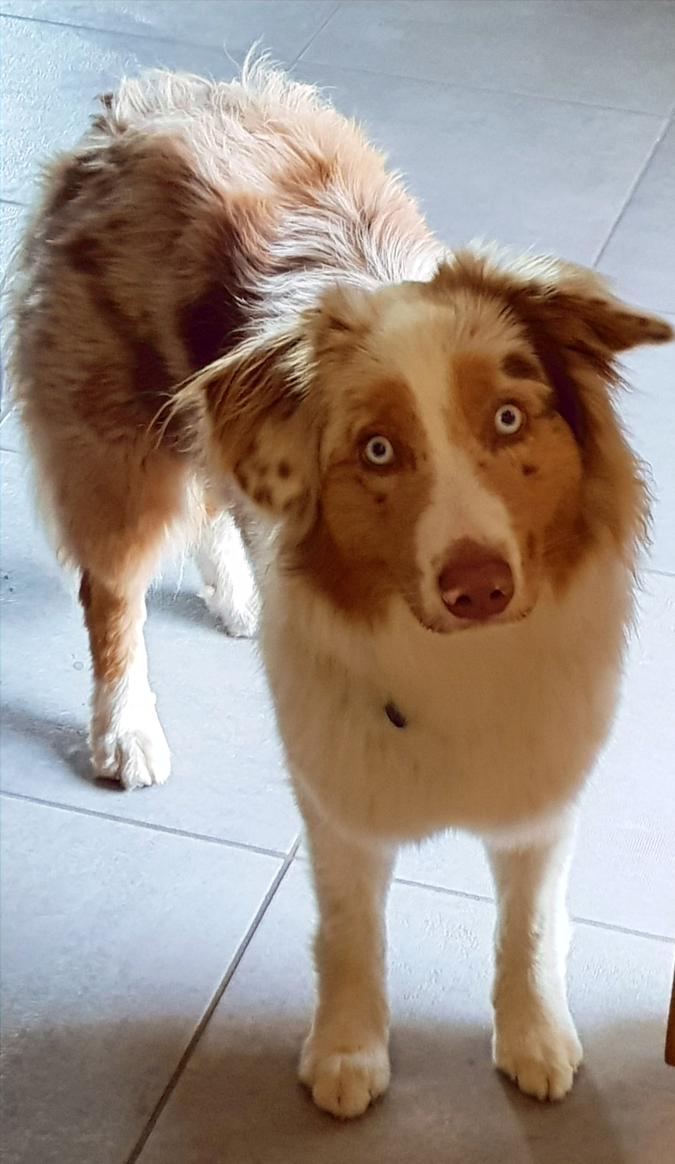 Article éducation et comportement