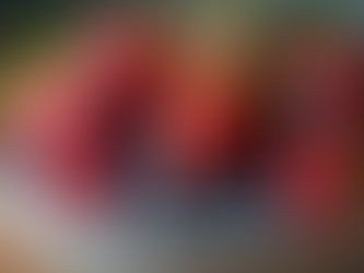 Top 10 Anti-Inflammatory Foods and Their Benefits for Your Health