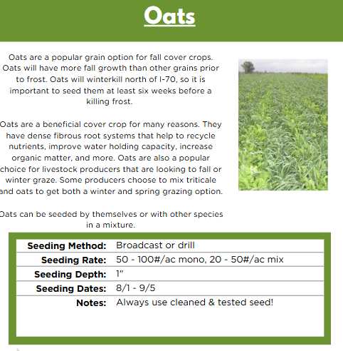 Thumbnail: Oats cover crop, benefits, and seeding information table