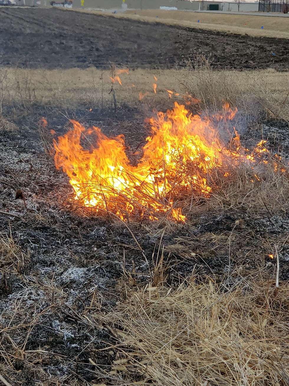 Thumbnail: Fire burning in a dry field