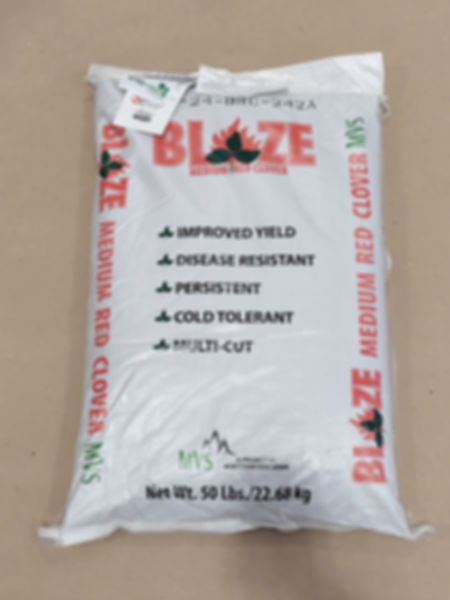 Blaze Red Clover