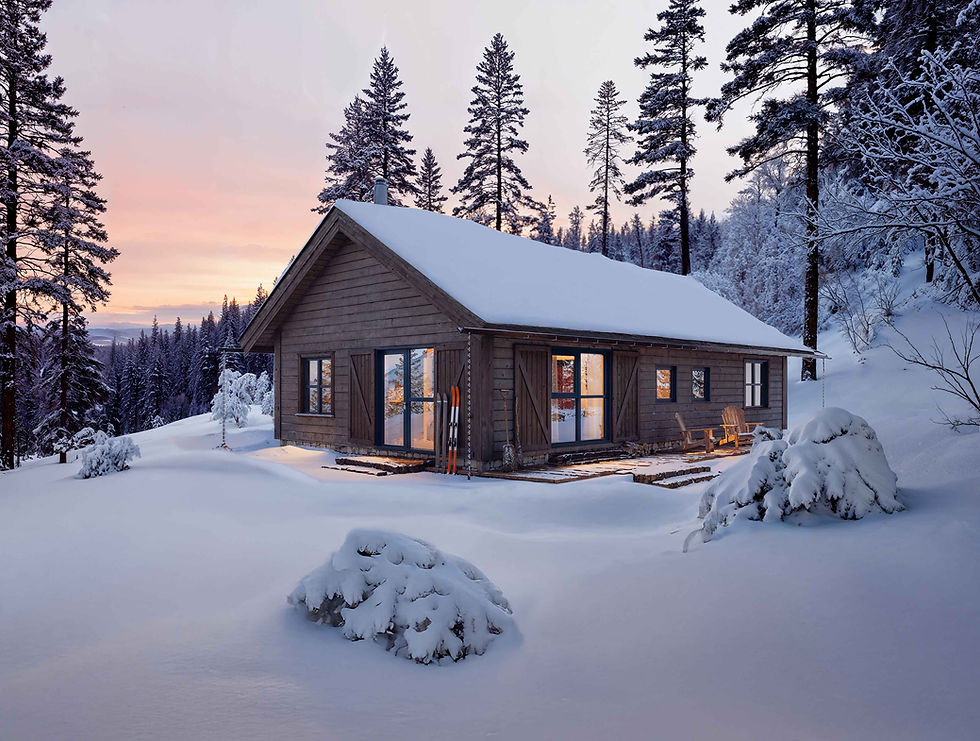 3Dvisualisering-hytte-fjell.jpg