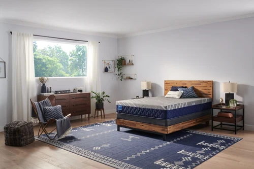 Sealy Carrington Chase Pacific Rest Tight Top | Firm | Mattress Dogzzz