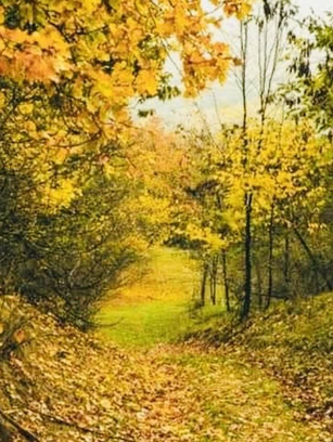 O glumă spusă la timp are rol vindecător. De o vreme lumea a devenit prea sobră, când privește parcă-mpunge și e tare bosumflată...