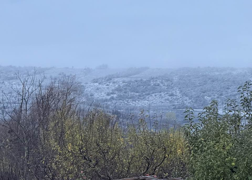 Iarna și-a intrat în drepturi, vântul suflă cu putere peste dealuri, lunci, vâlcele, curățându-le de-ale lor mirosuri grele...