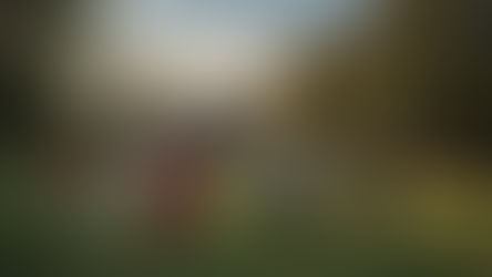 TAI CHI IN CHINA: EEN BELANGRIJK ONDERDEEL VAN DE DAG