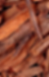 Canela.png