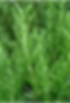 Captura de Tela 2024-10-31 às 20.20.06.png