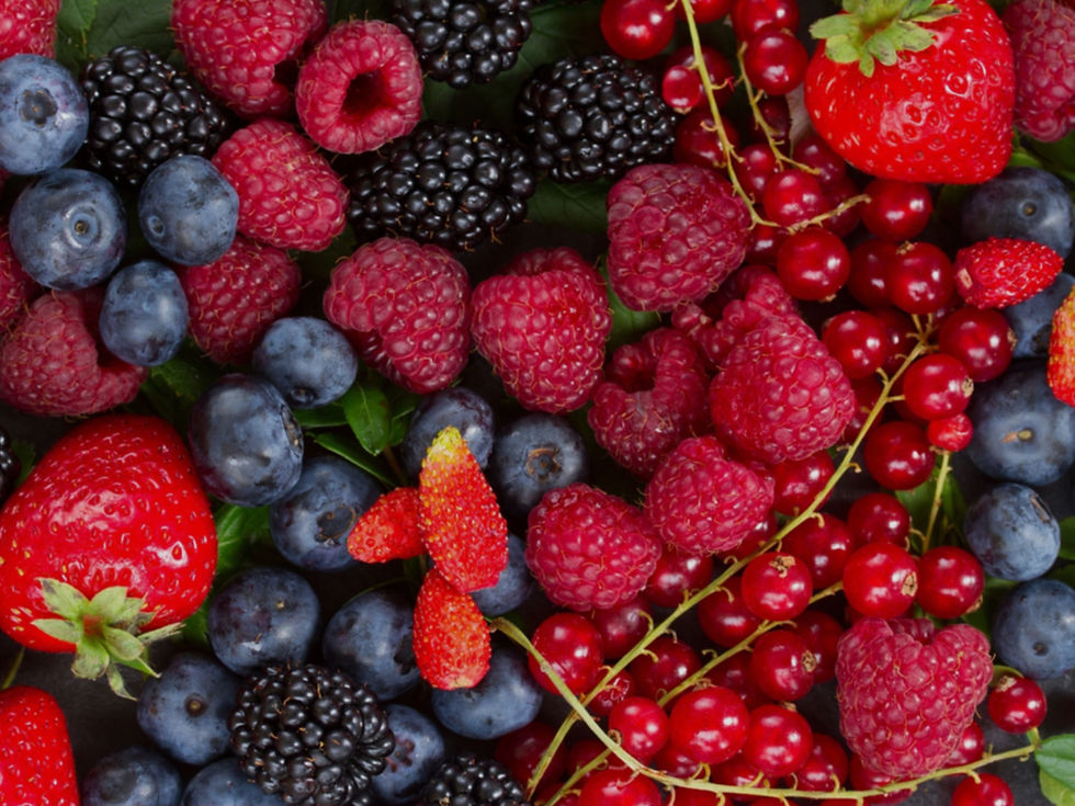 Organic Berries Fertilizer