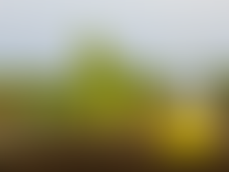 What Is Natural Ammonia? A New Approach to Nitrogen Production