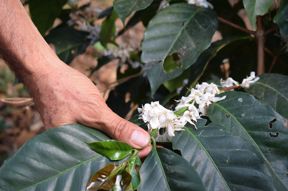 2019-03-02 21.24.51.jpg