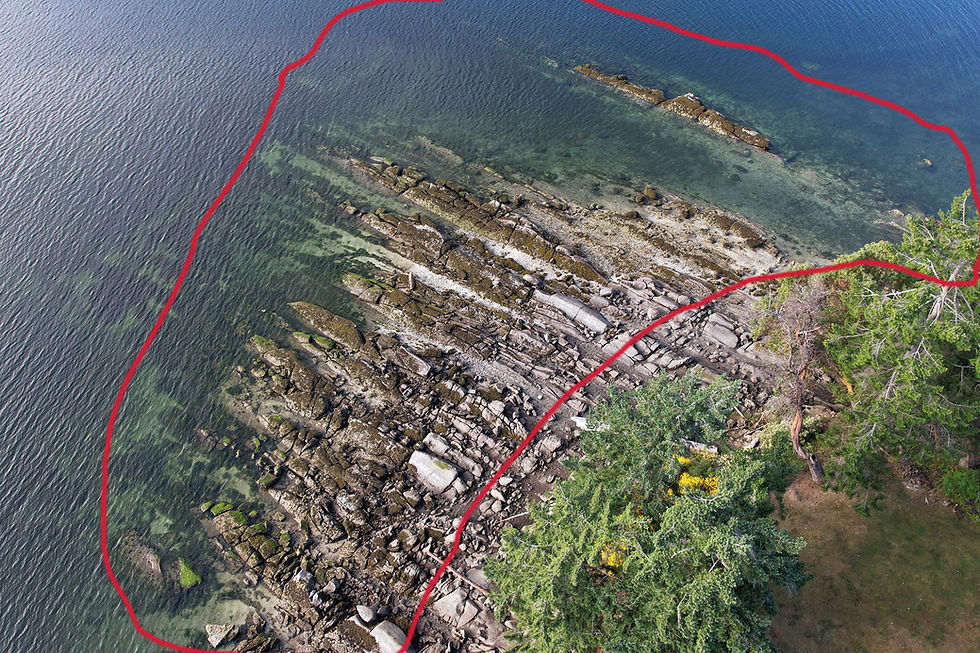 Clam Bay "Fingers" - sea star survey area