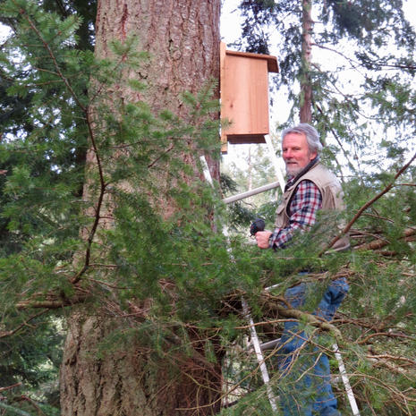 Rob Welsh Checking for Western Screech Owls