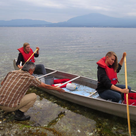 On the Look Out for Seastars