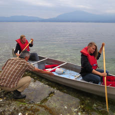 On the Look Out for Seastars