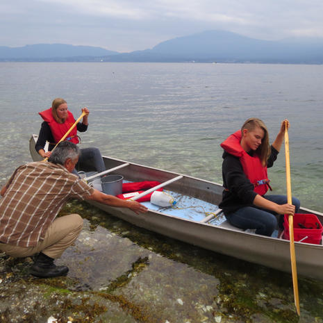 On the Look Out for Seastars