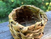 Nature House Week 8: August 20-23