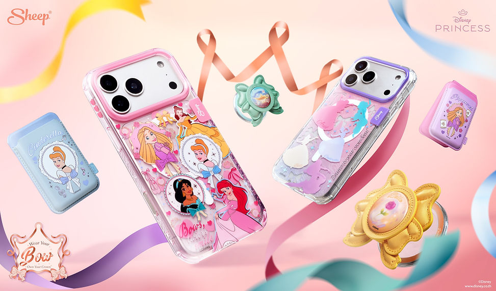 Case Disney Princess Collection