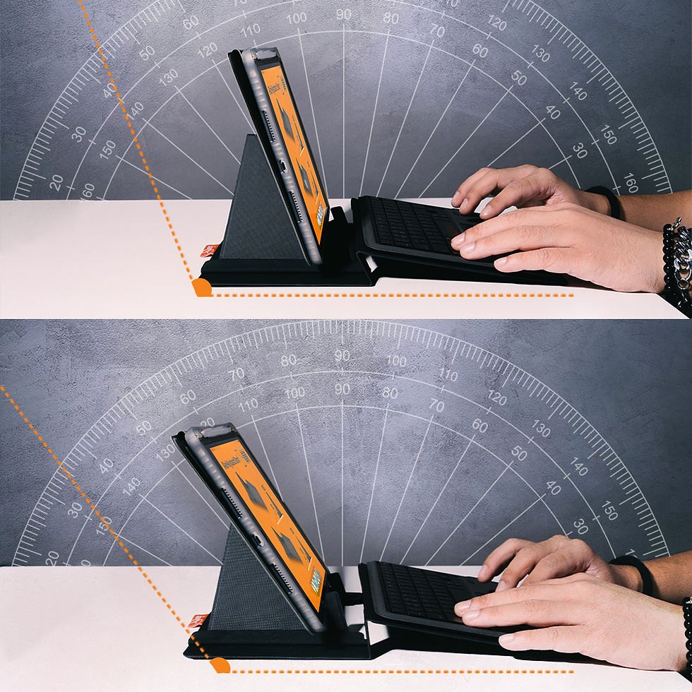 ภาพขนาดย่อ: Sheep Ergopad