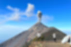 ree