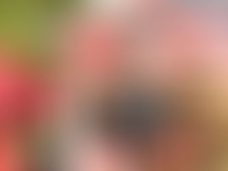 Ödemiş’te Kurtuluş Coşkusu