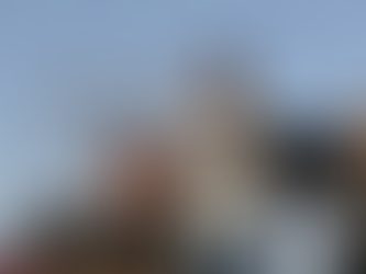 Alsancak'ta Hayvan Hakları Mitingi: 'Kanun İptal Edilsin' Çağrısı Kafesten Yapıldı