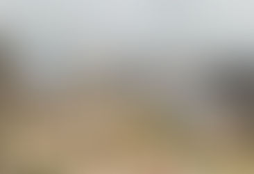 Prof. Dr. Doğan Yaşar: "Ormanlık Alanlarla Yerleşim Yerleri Arasındaki Mesafe Açılmalı."