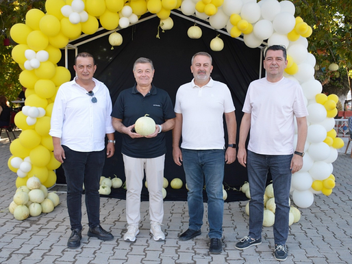 Sucahlı Kavunu tescil yolunda!