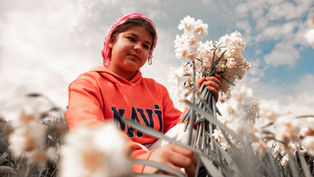 Nergis Kokulu Festival İçin Geri Sayım Başladı: Bayındır Turan Mahallesi Hazır!