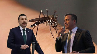 CHP ile AK Parti arasında “sivrisinek” polemiği büyüyor: “Algı mı, yönetim zafiyeti mi?”