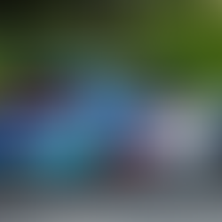 AVIS 2025 Tırmanma Şampiyonası Kınık’ta Start Alıyor!