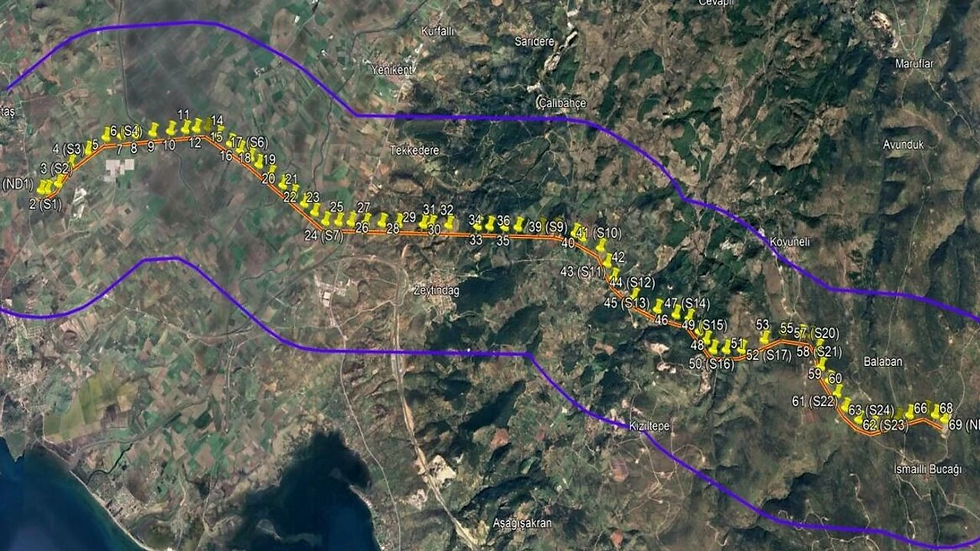 Enerji Hattı Projesi Tartışma Yarattı: 27 Bin Ağaç Kesilecek