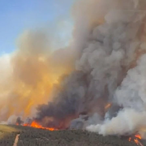 Aliağa Bozköy’de Başladı, Foça’ya Sıçradı: Yangın Felaketi!