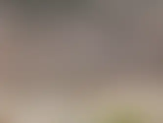 Aliağa’da Kuraklık Alarmı: Yaban Hayatı İçin Su Seferberliği!