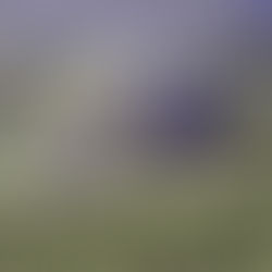 Kuraklık İzmir’i Kıskaca Aldı: Barajlar Can Çekişiyor!