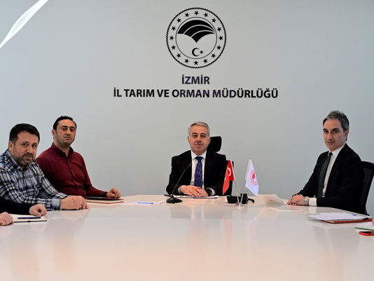 Her Yıl 1 Milyon Tona Yakın Domates Üreten İzmir'de 2025 Planlamaları Yapıldı