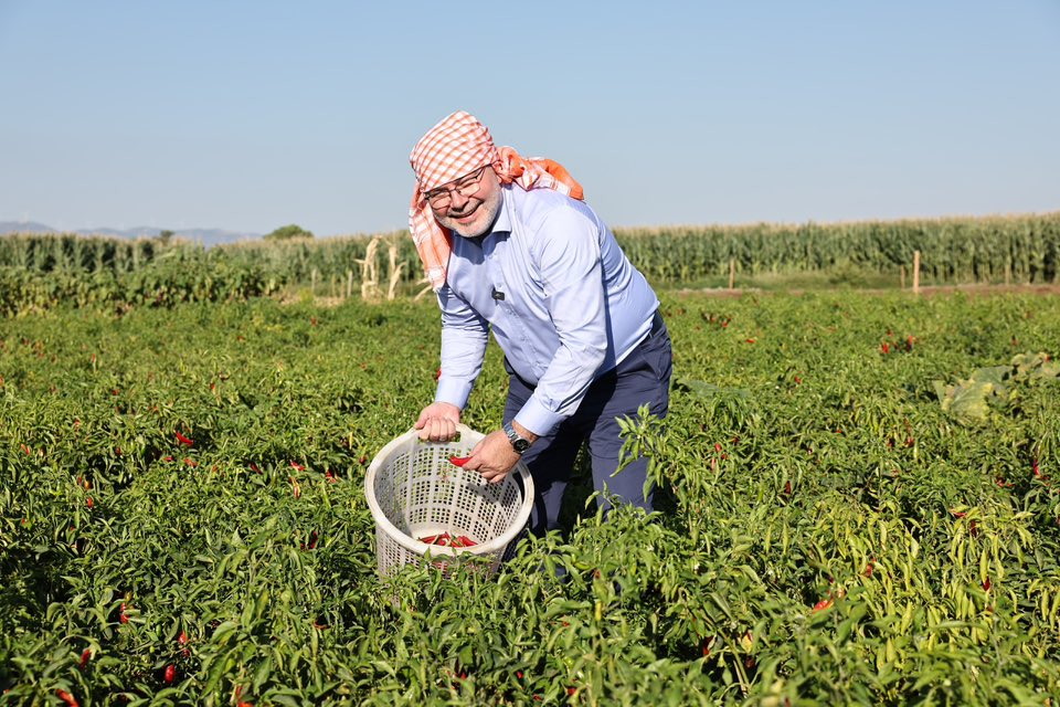 AK Parti’den Kuzey İzmir çıkarması: Ceyda Bölünmez Çankırı Dikili ve Foça’da, Bilal Saygılı Kınık’ta