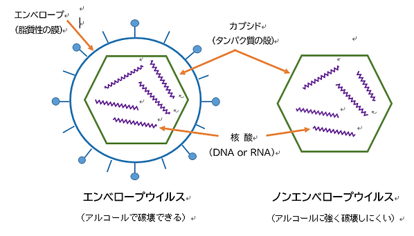 スクリーンショット (6).png