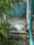 Yardwasteremoval1 Before.HEIC