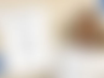 Enfermeiras do HFT têm artigo publicado no Brazilian Journal of Health Review