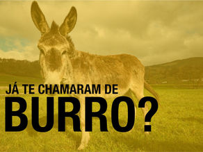 JÁ TE CHAMARAM DE BURRO?