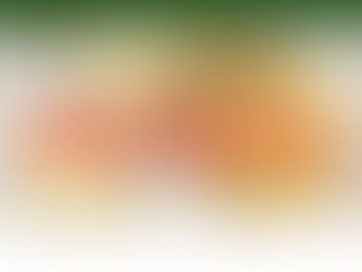 O HFT e o Instituto Práxis desejam a todas e a todos um Feliz Natal!