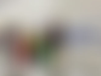 Workshop: cuidado integral à saúde para as equipes do HGLAS e UPA-Pecém